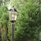 Gama Sonic Royal Bulb Solar Light, GS Solar Light Bulb, 3 in. Fitter, Brushed Bronze 98B112 - alternate 6